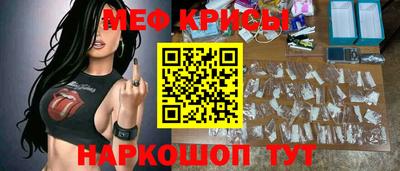 гашик Кингисепп