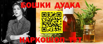 шишки Камышлов
