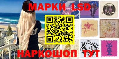 шишки Камышлов