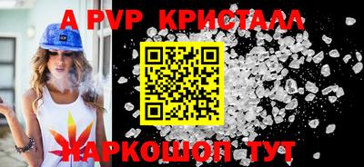 гашик Кингисепп
