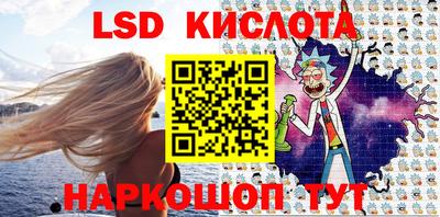 шишки Камышлов