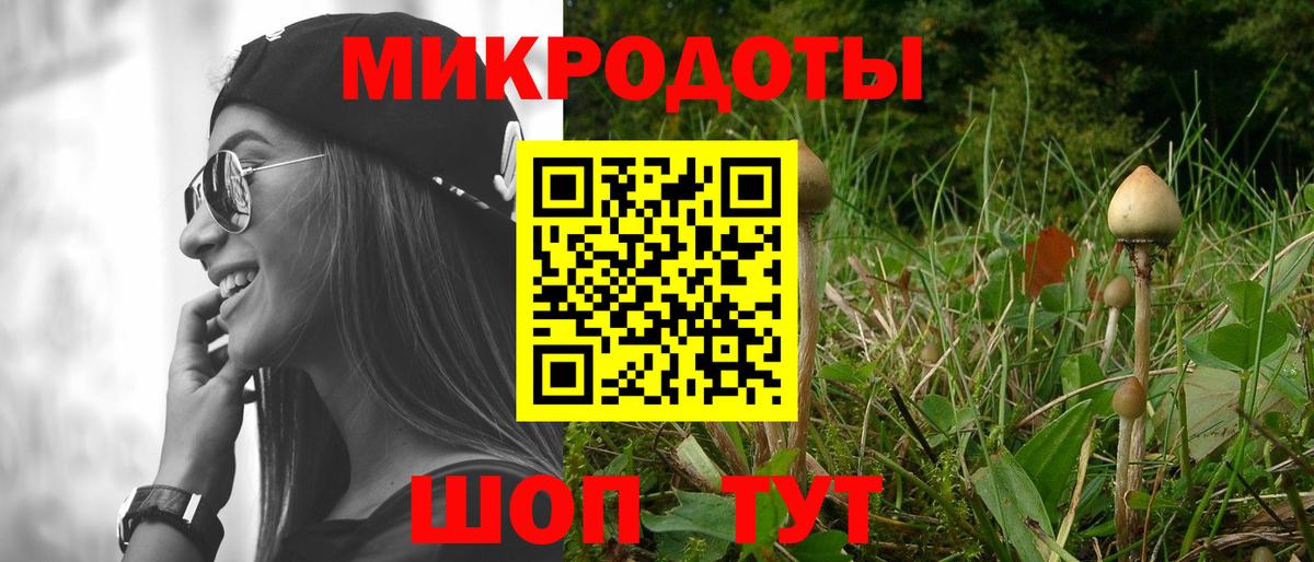 Краснознаменск  Псилоцибиновые грибы Cubensis  Псилоцибиновые грибы Cubensis  Вход с VPN 
