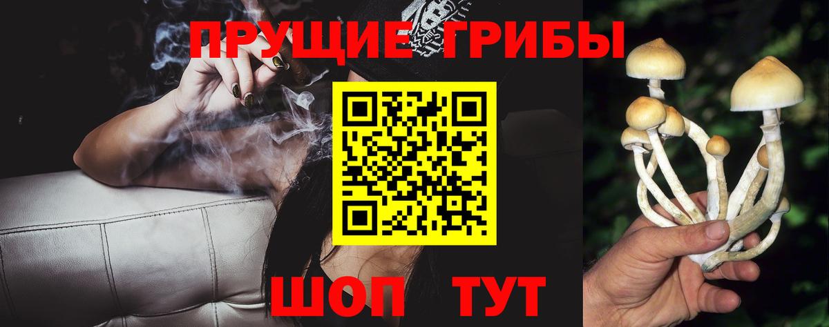Галлюциногенные грибы мухоморы Краснознаменск